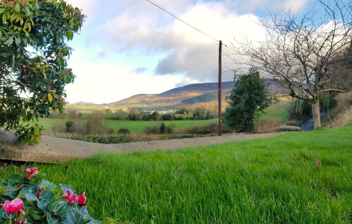 Enchanted Cottage Mullaghbane Esterno foto